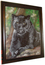 Black Leopard